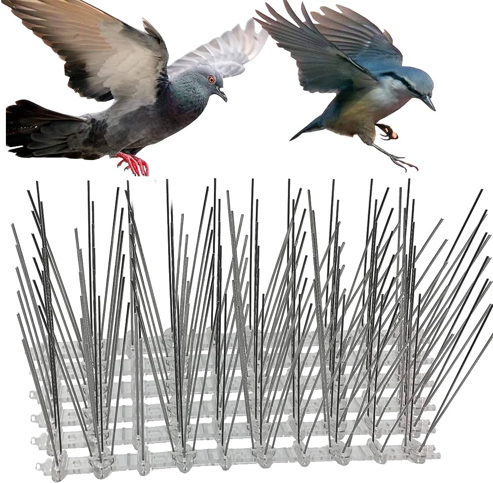 Bird Spike installation